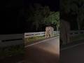 The Elephant Jump Scare Wildlife