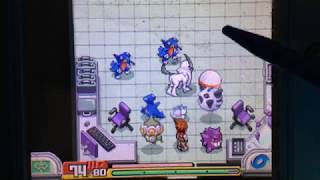 実況ポケモンレンジャー♯51