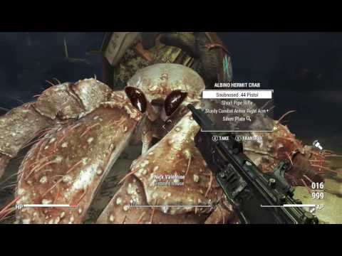 Fallout 4 Far Harbor dlc gameplay- Meet the Hermit Crab