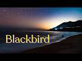 Blackbird (Beatles Cover by Father Peter Bowes)