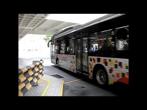SMRT Bus Service 990