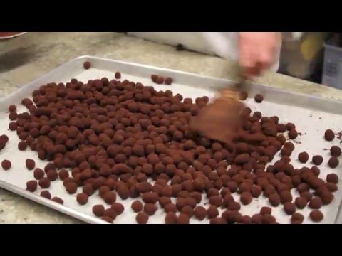 Recipe for Caramelized Dark Chocolate Hazelnuts