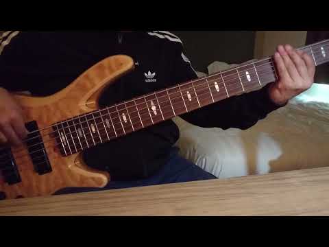 Stacey Ryan , Zai1k - Don't Text Me When You're Drunk (Bass Cover)