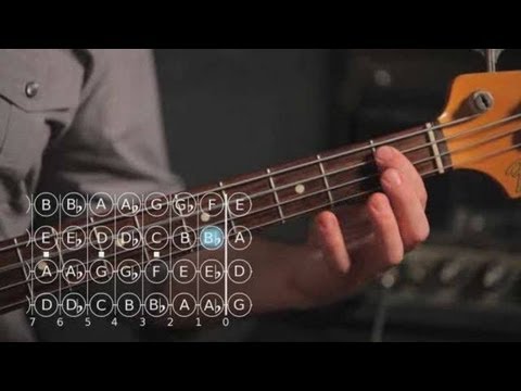 How to Play an F Major Scale | Bass Guitar