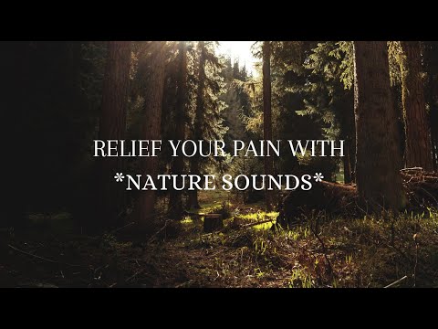 #NATURE SOUNDS#RELIEF PAIN#RELAXING#MEDITATION