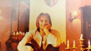 Chris Liebig Satin green shutters - Chris de Burgh Cover