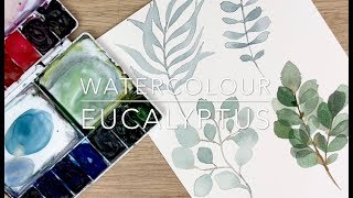 How To Paint Watercolour Eucalyptus Leaves