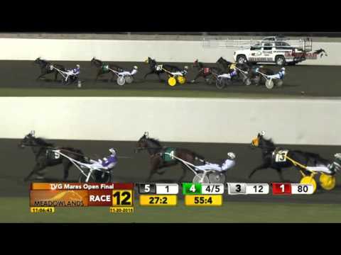 TVG Mares Open Final - Shake It Cerry - November 20, 2015