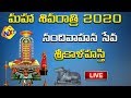 Mahasivaratri Vedukalu Nandi Vahana Seva Srikalahasti TVNXT Devotional