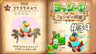 ゴクラクチョウを徹底調査！前半 #34 【ヨッシーとフカシギの図鑑】