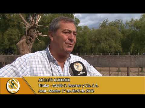 17-04-18 Nota Adolfo Koerner - Titular - Adolfo S. Koerner y Cía. S.A. - Azul