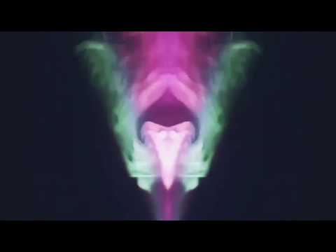 Lucid Lynx - Motions (Official Video)