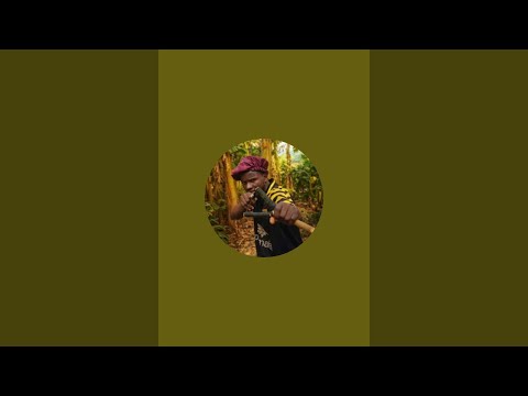 Mr TC  Recent let's laugh