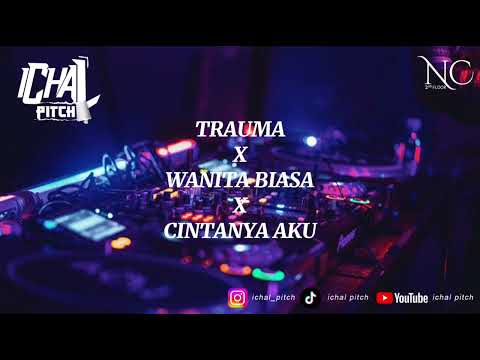 TRAUMA X WANITA BIASA X CINTANYA AKU BREAKBEAT DJ REMIX TERBARU FULLBASS 2024