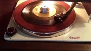 ALBINO (PINK-EYED) STALLION