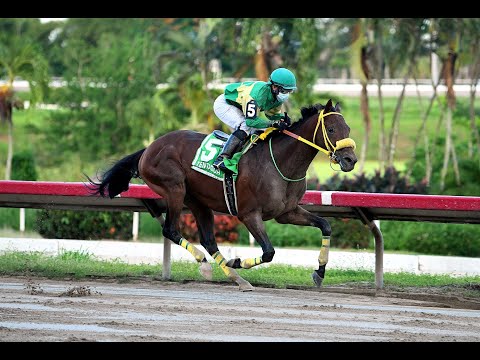 TENTADOR - Por Puerto Rico para la Copa Confraternidad 2021