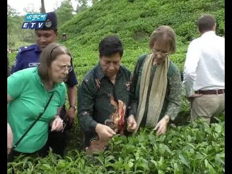 বাংলার সৌন্দর্যে মুগ্ধ বিদেশী কূটনীতিকরা