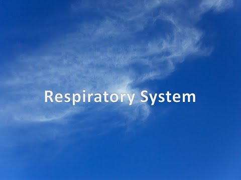 Medical Terminology Diagnostic Procedures of the Respiratory System