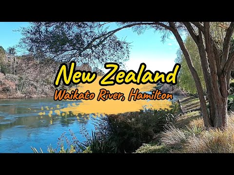 🇦🇺🌿🌊Hidden Gem in Hamilton | Beautiful Waikato Lake (Lake Rotoroa), Country in Oceania, New Zealand