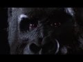 King Kong Climbs The World Trade Center Re Edited Featuring Extended Footage