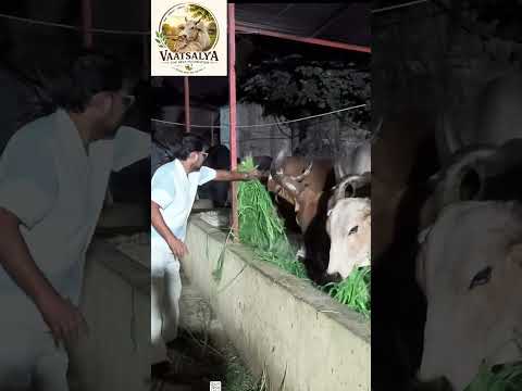 🙏वीडियो पसंद आए तो Like ❤️, Share 🔄 और Channel को Subscribe 🔔 जरूर करें।