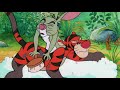 The New Adventures Of Winnie The Pooh Stripes Episodes 1 Scott Moss