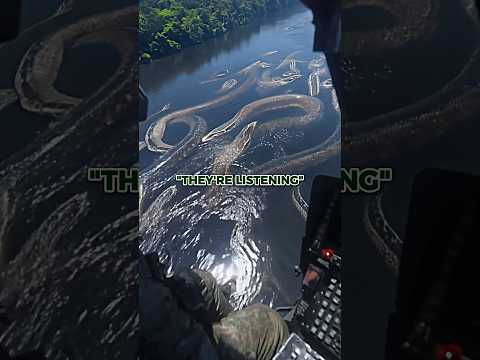 Huge Anaconda Encounter in the Amazon Rainforest
