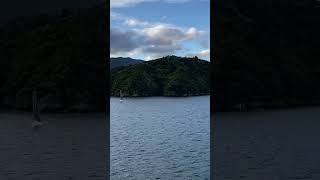 Departing Picton, New Zealand and heading home to Australia 🦘 #newzealand #cruise #australia