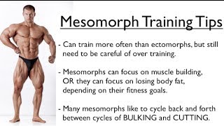 Ectomorph, Endomorph or Mesomorph - Training for YOUR Body Type