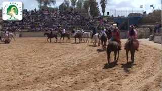 preview picture of video 'מופעי סוסים בהיפודרום גן לאומי קיסריה'