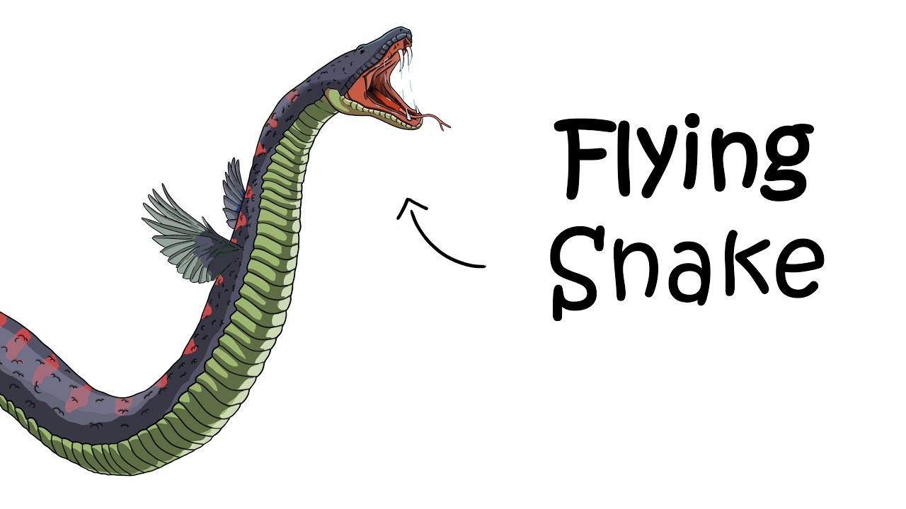 Why It Sucks to Be Born as a Flying Snake