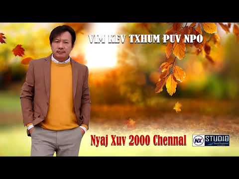 vim kev txhum puv npo nyaj xuv xyooj