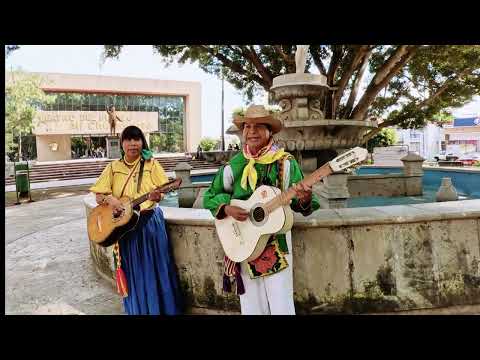 MUSICOS WIXARICAS  "NATIVOS DE LA SIERRA" Desde la Colonia #ZITAKUA #tepicnayarit