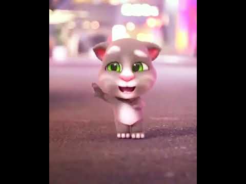 ТАНЦУЮЩИЙ КОТИК💝😺ПРОВОДИ МЕНЯ ДОМОЙ- ПЕСНЯ В СТИЛЕ ЛАСКОВЫЙ МАЙ