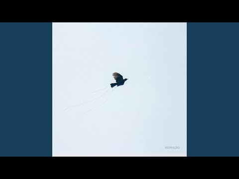 Adoração - Joédila