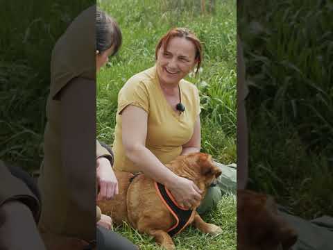 Pomohli jste Macíkovi na cestě k životu bez bolesti