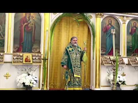 Homilía Domingo de Ramos