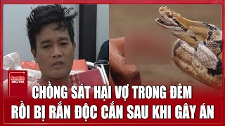 Kẻ thù ác ra tay sát hại vợ bị rắn độc cắn sau khi gây án | Ninh Bình Digital