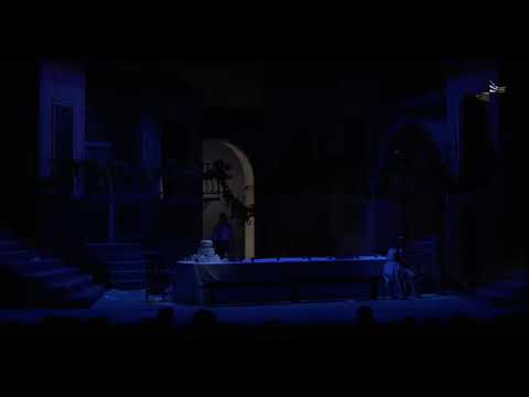 Eusebiu Hutan- Una furtiva lagrima!