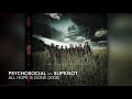 Psychosocial Slipknot 8D
