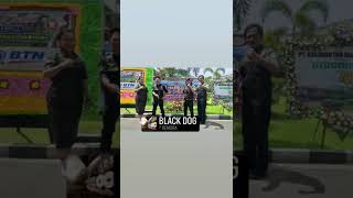 Download lagu gerdayak..yeah mp3