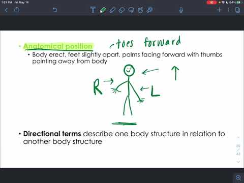 CH1 - The Human Body