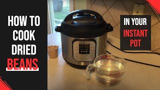 Instant Pot 101: How to Cook Dry Beans