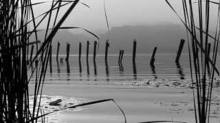 Luisa Sobral - You Won't Take Long