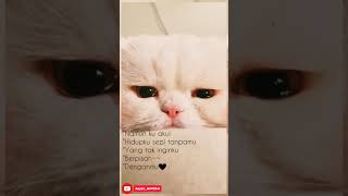 Download lagu Status_Story WA/ New Syclon - Hidupku sepi tanpamu mp3