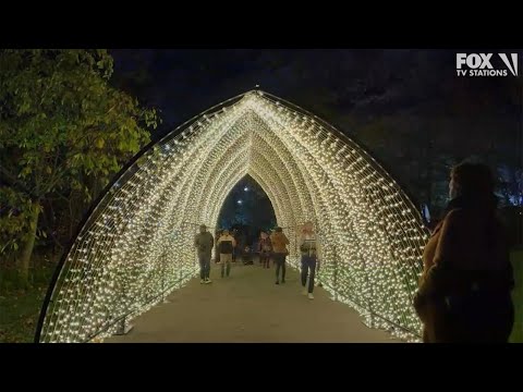 Lightscape at Brooklyn Botanic Garden: 1 million-plus lights along 1-mile trail