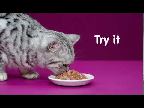 Whiskas Tune Jelly Cat Food