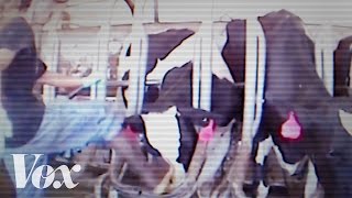What undercover videos tell us about meat in America