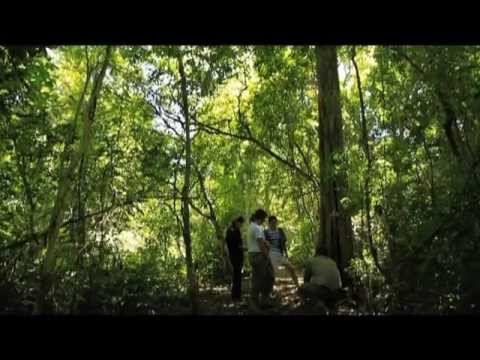 Mbaracayú Lodge- Reserva Natural del Bosque Mbaracayú