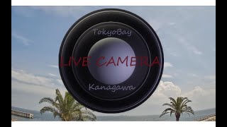 4K【LIVE】東京湾ライブカメラ神奈川　弐号機 北東の空
 live webcam